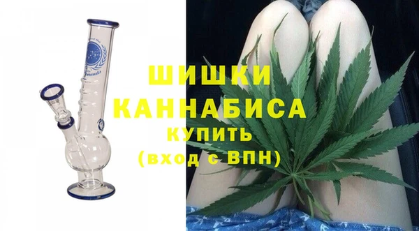 сатива Балахна