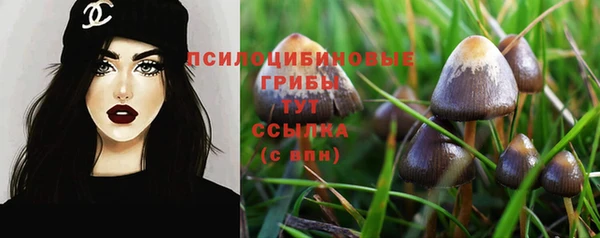 сатива Алексеевка