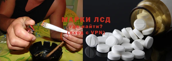прущие грибы Балабаново