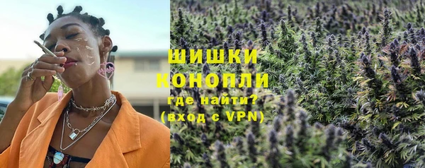 сатива Балахна