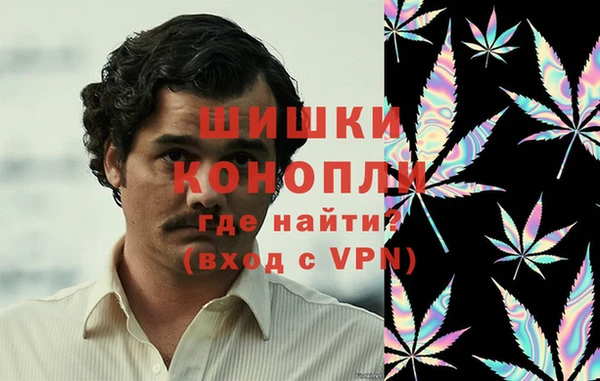 сатива Балахна
