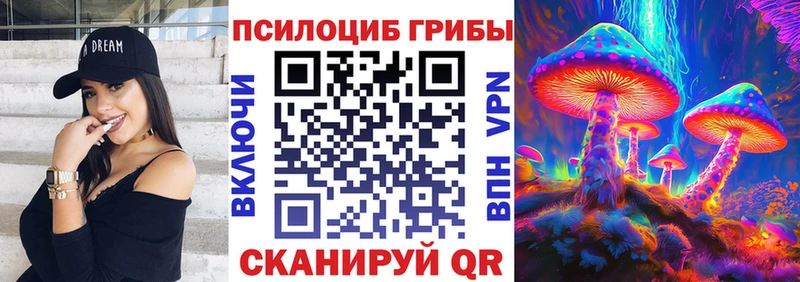Купить закладки  Миллерово  Псилоцибиновые грибы прущие грибы 